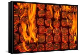 Coal Fire-Steve Gadomski-Framed Stretched Canvas