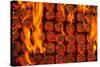 Coal Fire-Steve Gadomski-Stretched Canvas