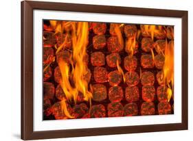 Coal Fire-Steve Gadomski-Framed Photographic Print