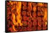 Coal Fire-Steve Gadomski-Framed Stretched Canvas