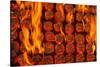 Coal Fire-Steve Gadomski-Stretched Canvas