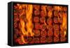 Coal Fire-Steve Gadomski-Framed Stretched Canvas