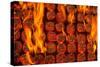 Coal Fire-Steve Gadomski-Stretched Canvas