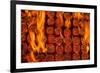 Coal Fire-Steve Gadomski-Framed Photographic Print