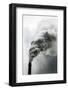 Coal Fired Power Plant, Chongqing, China-Paul Souders-Framed Photographic Print