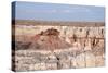 Coal Mine Canyon, Arizona, Usa-U Gernhoefer-Stretched Canvas