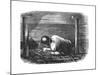 Coal Miner Working a Narrow Seam, C1864-null-Mounted Giclee Print