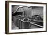 Coal Miners Ready For Next Shift to Go into Mines at Maidsville, West Virginia, 1938-null-Framed Photo