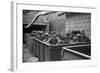 Coal Miners Ready For Next Shift to Go into Mines at Maidsville, West Virginia, 1938-null-Framed Photo