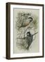 Coal Tit, Illustration from 'A History of British Birds' by William Yarrell, c.1905-10-Edward Adrian Wilson-Framed Giclee Print