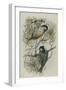 Coal Tit, Illustration from 'A History of British Birds' by William Yarrell, c.1905-10-Edward Adrian Wilson-Framed Giclee Print