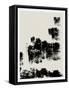 Coal-ALI Chris-Framed Stretched Canvas