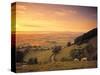 Coaley Peak, Dursley, Cotswolds, England-Peter Adams-Stretched Canvas