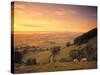 Coaley Peak, Dursley, Cotswolds, England-Peter Adams-Stretched Canvas