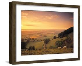 Coaley Peak, Dursley, Cotswolds, England-Peter Adams-Framed Photographic Print