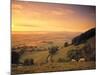 Coaley Peak, Dursley, Cotswolds, England-Peter Adams-Mounted Photographic Print