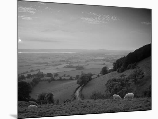 Coaley Peak, Dursley, Cotswolds, England-Peter Adams-Mounted Photographic Print