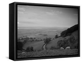 Coaley Peak, Dursley, Cotswolds, England-Peter Adams-Framed Stretched Canvas