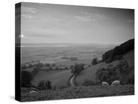 Coaley Peak, Dursley, Cotswolds, England-Peter Adams-Stretched Canvas