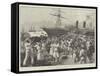 Coaling a Steamer at Kingston, Jamaica-null-Framed Stretched Canvas