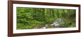 Coarse Brook, Gerold Villagesau, Black Forest, Baden-Baden, Baden-Wurttemberg, Germany-Rainer Mirau-Framed Photographic Print