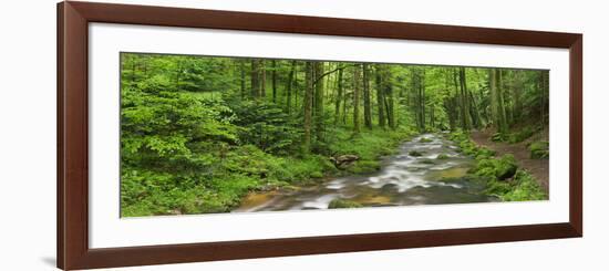 Coarse Brook, Gerold Villagesau, Black Forest, Baden-Baden, Baden-Wurttemberg, Germany-Rainer Mirau-Framed Photographic Print