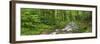 Coarse Brook, Gerold Villagesau, Black Forest, Baden-Baden, Baden-Wurttemberg, Germany-Rainer Mirau-Framed Photographic Print