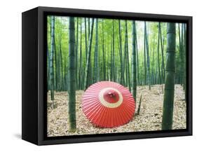 Coarse Oilpaper Umbrella in Bamboo Forest, Muko City, Kyoto Prefecture, Japan-null-Framed Stretched Canvas