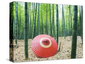 Coarse Oilpaper Umbrella in Bamboo Forest, Muko City, Kyoto Prefecture, Japan-null-Stretched Canvas