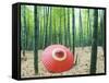 Coarse Oilpaper Umbrella in Bamboo Forest, Muko City, Kyoto Prefecture, Japan-null-Framed Stretched Canvas