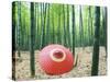 Coarse Oilpaper Umbrella in Bamboo Forest, Muko City, Kyoto Prefecture, Japan-null-Stretched Canvas