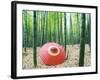 Coarse Oilpaper Umbrella in Bamboo Forest, Muko City, Kyoto Prefecture, Japan-null-Framed Photographic Print