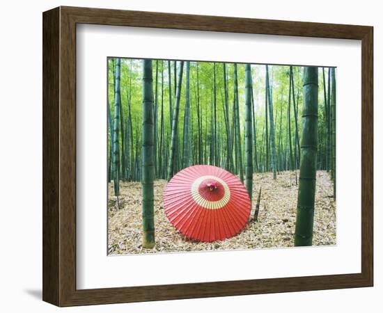 Coarse Oilpaper Umbrella in Bamboo Forest, Muko City, Kyoto Prefecture, Japan-null-Framed Photographic Print