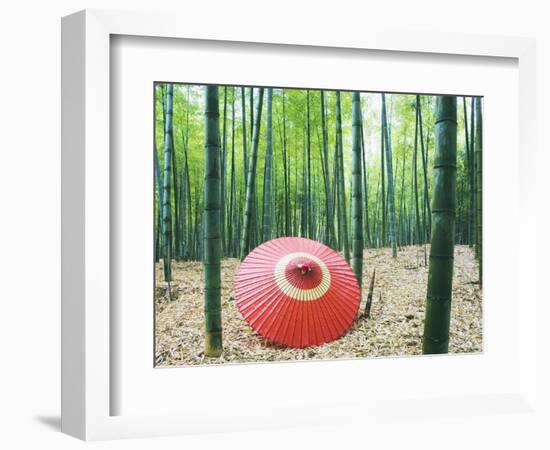 Coarse Oilpaper Umbrella in Bamboo Forest, Muko City, Kyoto Prefecture, Japan-null-Framed Photographic Print