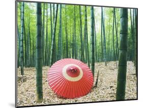 Coarse Oilpaper Umbrella in Bamboo Forest, Muko City, Kyoto Prefecture, Japan-null-Mounted Photographic Print