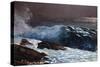 Coast, 1890-Winslow Homer-Stretched Canvas