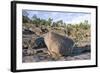 Coast and Coastline at UNESCO High Coast Heritage, Sweden.-scandphoto-Framed Photographic Print