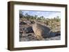 Coast and Coastline at UNESCO High Coast Heritage, Sweden.-scandphoto-Framed Photographic Print