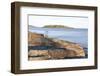 Coast and Coastline at UNESCO High Coast Heritage, Sweden.-scandphoto-Framed Photographic Print