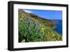 Coast Area at Ponta do Garajau near Canico, Madeira Island, Portugal-null-Framed Art Print