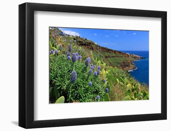 Coast Area at Ponta do Garajau near Canico, Madeira Island, Portugal-null-Framed Art Print