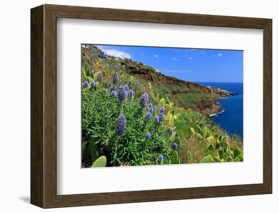 Coast Area at Ponta do Garajau near Canico, Madeira Island, Portugal-null-Framed Art Print