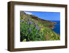 Coast Area at Ponta do Garajau near Canico, Madeira Island, Portugal-null-Framed Art Print