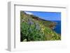 Coast Area at Ponta do Garajau near Canico, Madeira Island, Portugal-null-Framed Art Print