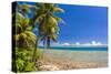 Coast around Merizo and its Coral Reef, Guam, Us Territory, Central Pacific, Pacific-Michael Runkel-Stretched Canvas