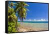 Coast around Merizo and its Coral Reef, Guam, Us Territory, Central Pacific, Pacific-Michael Runkel-Framed Stretched Canvas