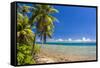 Coast around Merizo and its Coral Reef, Guam, Us Territory, Central Pacific, Pacific-Michael Runkel-Framed Stretched Canvas