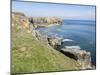 Coast at St. Govan, Pembrokeshire Coast National Park, Pembrokeshire, Wales, United Kingdom, Europe-Jean Brooks-Mounted Photographic Print