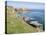Coast at St. Govan, Pembrokeshire Coast National Park, Pembrokeshire, Wales, United Kingdom, Europe-Jean Brooks-Stretched Canvas
