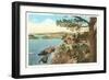 Coast from Highlands, Carmel, California-null-Framed Art Print